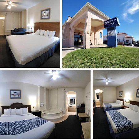 The Flamingo - South Padre Island Hotel Exterior foto